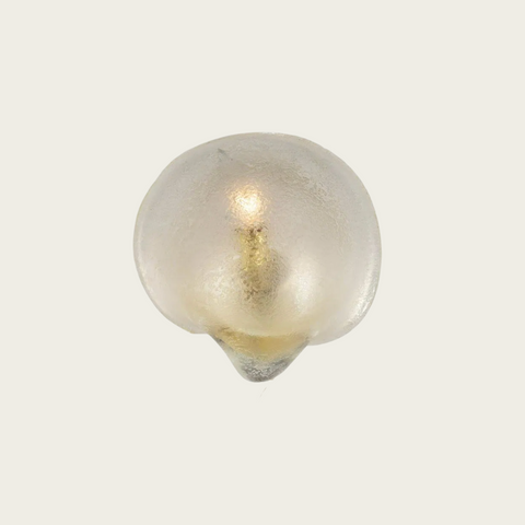 1950s Seguso Vetri D’Arte Etched Wall Sconce