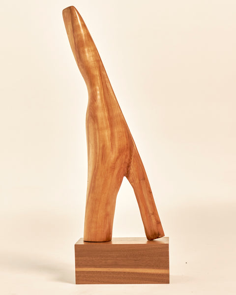Organic Teakwood Abstract Standing Sculpture